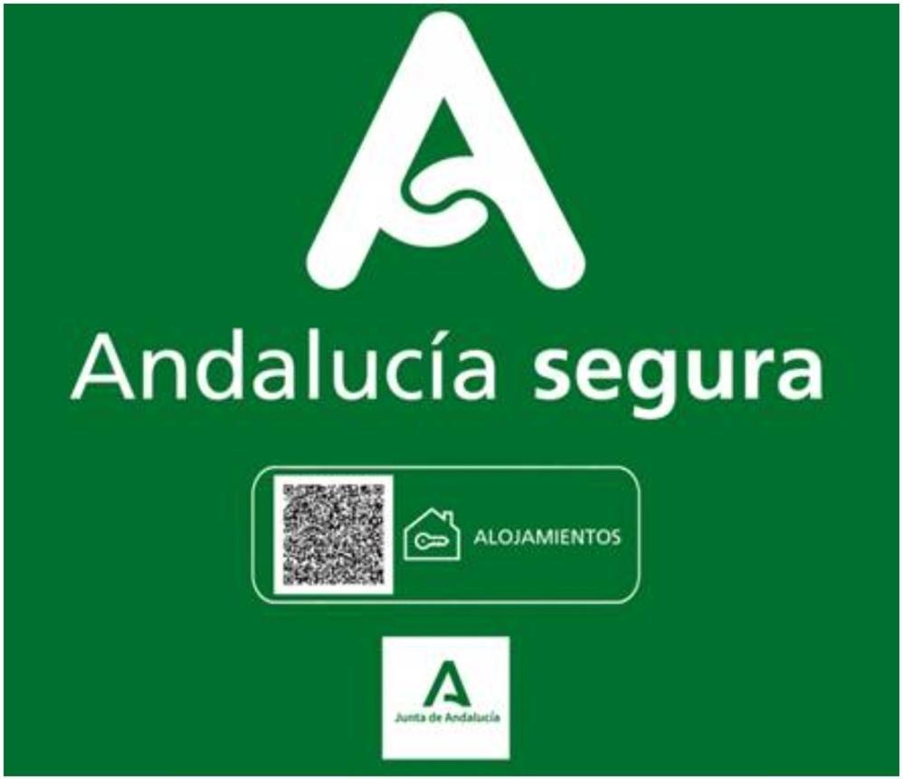 Todosierranevada Zona Baja - Apartamentos De 4 Dormitorios - Junto A Los Telecabinas Sierra Nevada Exteriér fotografie